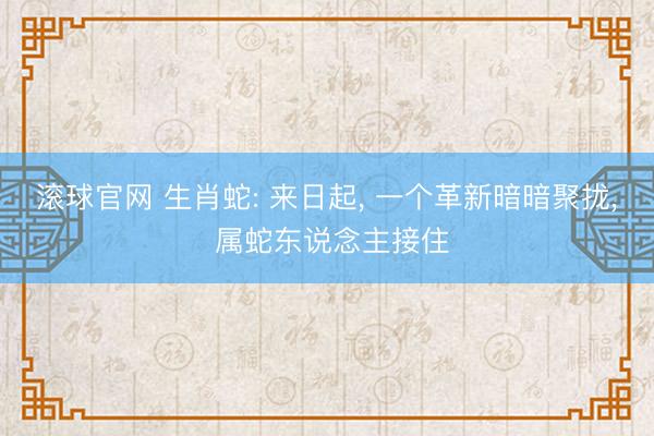滚球官网 生肖蛇: 来日起， 一个革新暗暗聚拢， 属蛇东说念主接住