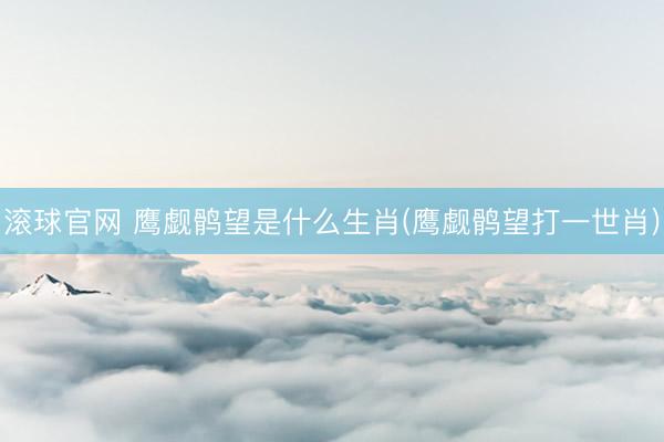 滚球官网 鹰觑鹘望是什么生肖(鹰觑鹘望打一世肖)