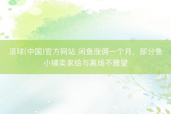 滚球(中国)官方网站 闲鱼涨佣一个月，部分鱼小铺卖家给与离场不雅望