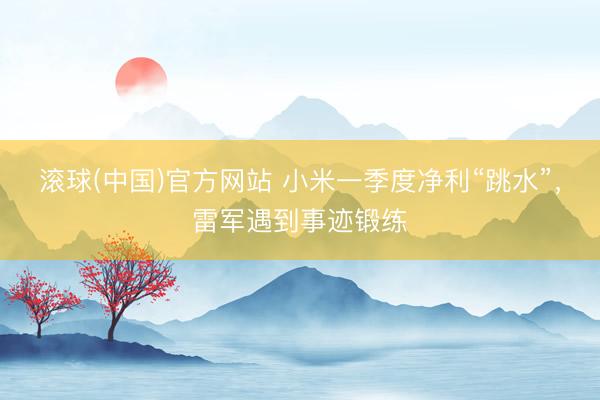 滚球(中国)官方网站 小米一季度净利“跳水”，雷军遇到事迹锻练