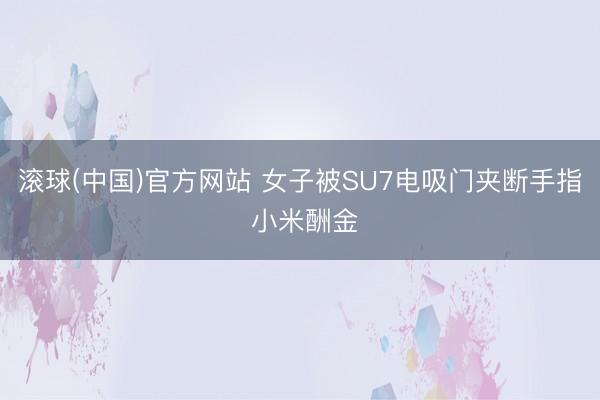 滚球(中国)官方网站 女子被SU7电吸门夹断手指 小米酬金