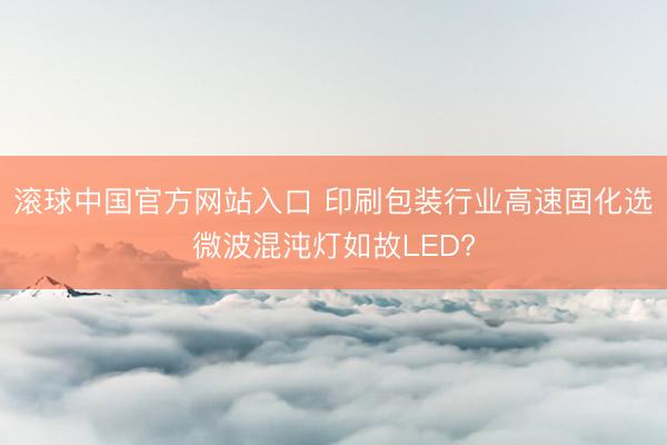 滚球中国官方网站入口 印刷包装行业高速固化选微波混沌灯如故LED?