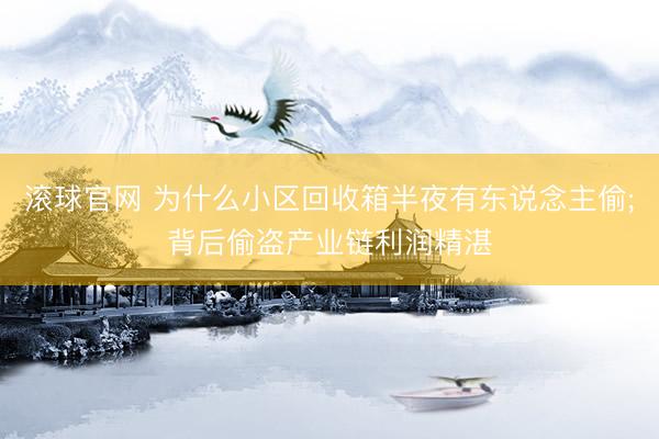 滚球官网 为什么小区回收箱半夜有东说念主偷;背后偷盗产业链利润精湛