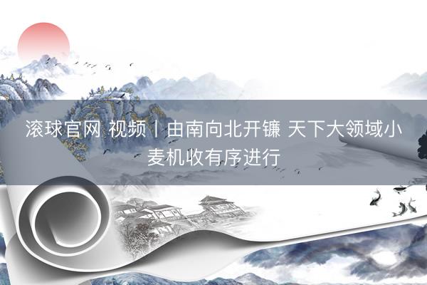 滚球官网 视频丨由南向北开镰 天下大领域小麦机收有序进行