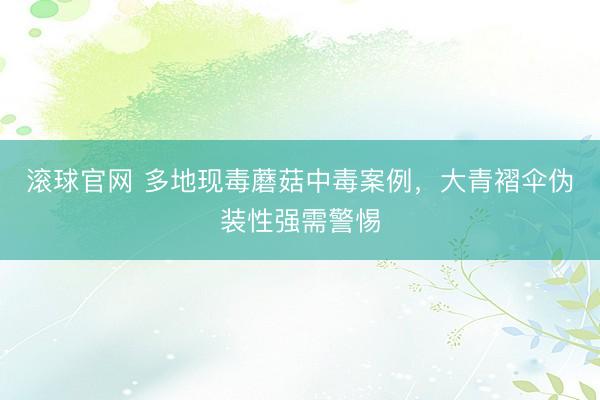 滚球官网 多地现毒蘑菇中毒案例，大青褶伞伪装性强需警惕