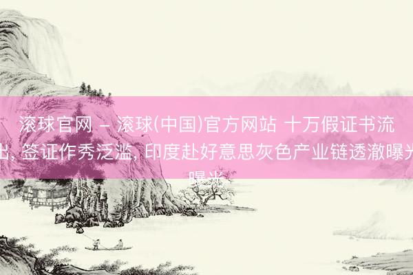 滚球官网 - 滚球(中国)官方网站 十万假证书流出， 签证作秀泛滥， 印度赴好意思灰色产业链透澈曝光