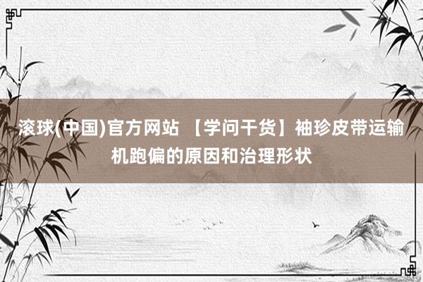 滚球(中国)官方网站 【学问干货】袖珍皮带运输机跑偏的原因和治理形状