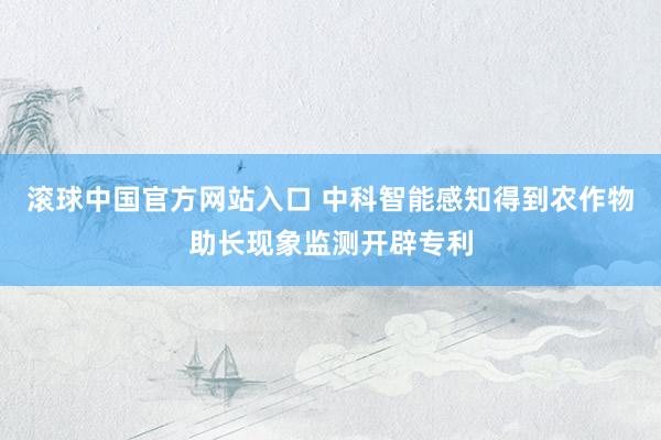 滚球中国官方网站入口 中科智能感知得到农作物助长现象监测开辟专利