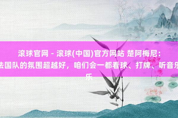 滚球官网 - 滚球(中国)官方网站 楚阿梅尼:法国队的氛围超越好,咱们会一都看球、打牌、听音乐